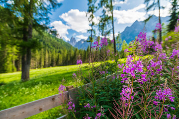 Typical views of the dolomitic valley floor. The Val Fiscalina