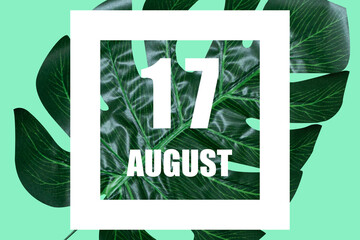 august 17th. Day 17 of month,Date text in white frame against tropical monstera leaf on green...