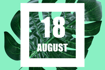 august 18th. Day 18 of month,Date text in white frame against tropical monstera leaf on green background summer month, day of the year concept