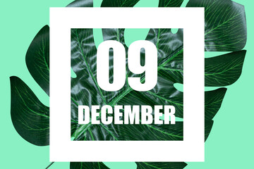 december 9th. Day 9 of month,Date text in white frame against tropical monstera leaf on green...