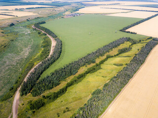 Green and yellow fields from above aerial view