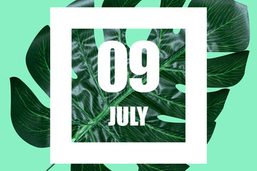 july 9th. Day 9 of month,Date text in white frame against tropical monstera leaf on green...