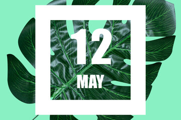 may 12th. Day 12 of month,Date text in white frame against tropical monstera leaf on green background spring month, day of the year concept