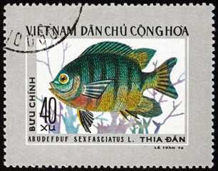 Postage stamp Vietnam 1976 scissortail sergeant, damselfish