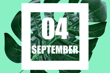 september 4th. Day 4 of month,Date text in white frame against tropical monstera leaf on green background autumn month, day of the year concept