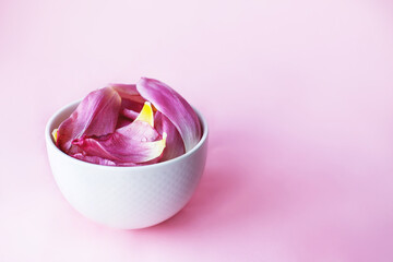 white cup full of fresh flowers petals of tulips on a pink background.