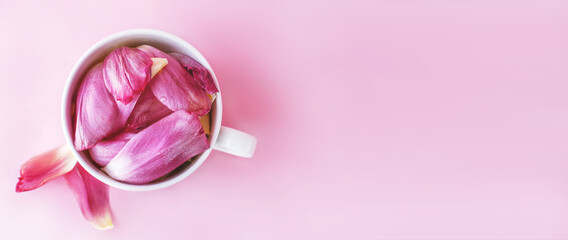 white cup full of fresh flowers petals of tulips on a pink background.
