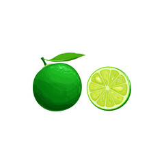 Sudachi fruit, exotic Japanese fruits and tropical food isolated icon. Vector half cut and whole, tropic farm harvest. Small, round, green sour citrus, not eaten as fruit, food flavoring lemon or lime