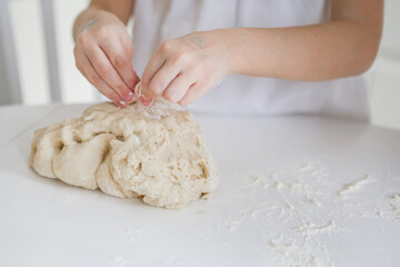 Making homemade pies or muffins and biscuits dough for breakfast or holiday. wheat flour, eggs