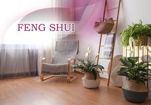 Beautiful plants in wicker pots near white wall indoors. Feng Shui philosophy