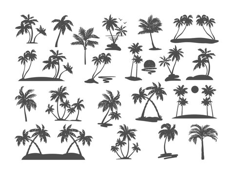 Palm tree silhouette set. Various black tropical trees on a white background. Vector illustration. For design of t-shirts, cards, invitations in retro style