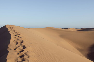 Fototapeta na wymiar Traces de pas dans le sable du désert