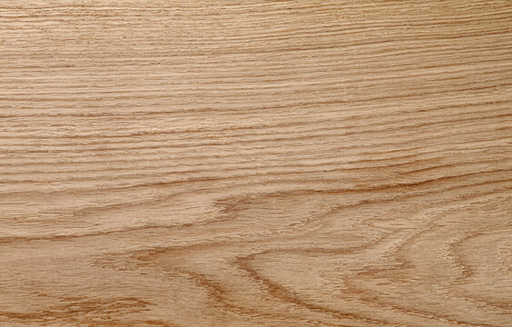 Oak texture with natural pattern close-up. Wood texture for design and decoration.