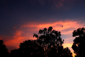 sunset in the mountains