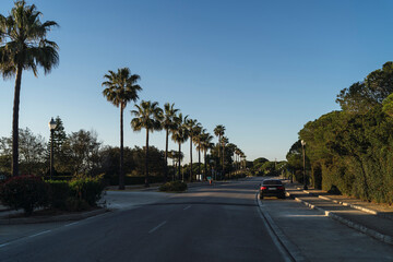 Fototapeta na wymiar Carretera con palmeras en chiclana, cadiz