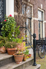 Fototapeta na wymiar old houses of Amsterdam with flower pots