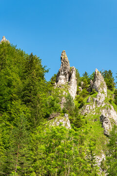 Limestone rock formation with trees around and clear sky above Vratna dolina valley in Mala Fatra mountains in Slovakia