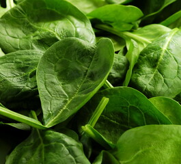 Fresh baby spinach leaves close up full frame.Food texture.