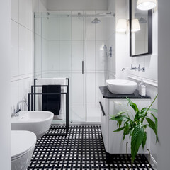 Elegant black and white bathroom interior