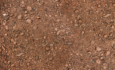 The land is unpaved, for planting seedlings. The texture of the soil. Soil background.