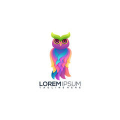 owl Colorful Logo Illustration Vector Design