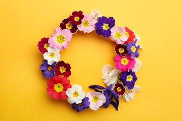 Frame of Primrose Primula Vulgaris flowers on yellow background, flat lay with space for text. Spring season