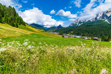 Fototapeta na wymiar Summer glimpses along the paths of Sappada. Friuli. Dolomites