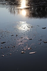 reflection in water