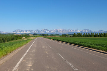 春の美瑛の丘の農道と十勝岳連峰