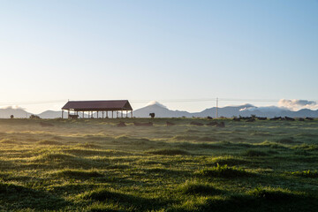 house on the hill