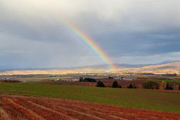 秋の剣淵の丘にかかる虹
