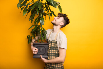 Junger Gärtner mit einer Zimmerpflanze vor einem gelben Hintergrund