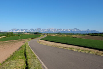 春の美瑛の丘と十勝岳連峰