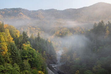 秋の上川町層雲峡の朝霧の風景
