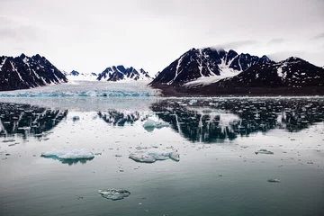 Fotobehang Arctic ocean seascape in Svalbard in the arctic circle © wayne