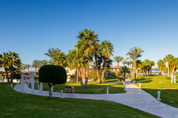 paths, beautiful palm trees and a green lawn in the rays of the sunset. evening, winter