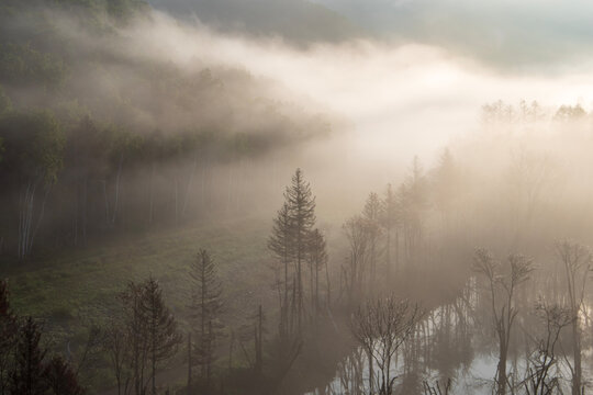 下川町サンルダム朝霧の風景 © TATSUYA UEDA