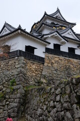 Hikone castle