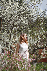beautiful girl in a white dress walks in the garden, sakura blooming, spring bloom