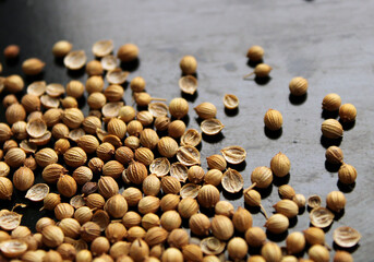 Coriander herb seeds on the black background, dry spice flavor