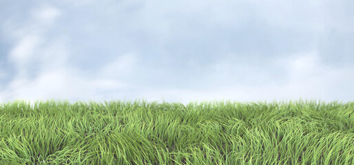 Green grass and and blue sky. Fresh spring backround. 3D illustration.