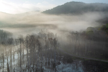 下川町サンルダム朝霧の風景
