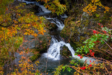 秋の滝上町錦仙峡の紅葉

