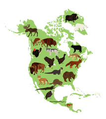 Continent Northern America vector map silhouette illustration with wild animals, isolated on white background. United states of America, Canada, Mexico, Cuba,  Bahamas, Caribbean sea territory.