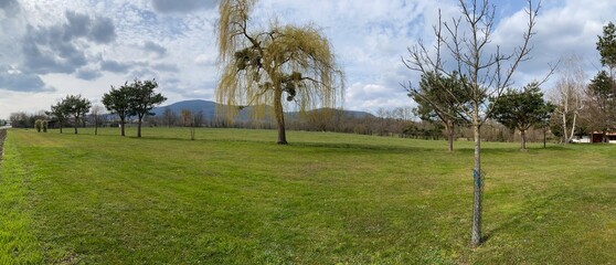 grass and sky