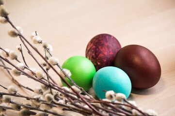 Easter painted eggs and willow