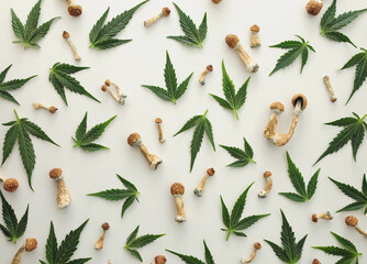 Microdosing concept. Pattern of psilocybin mushrooms and marijuana leaves isolated on white...