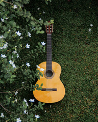 guitar on the grass