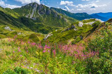 Naklejka na ściany i meble Alpine huts, meadows, lakes and woods of the Friulian mountains
