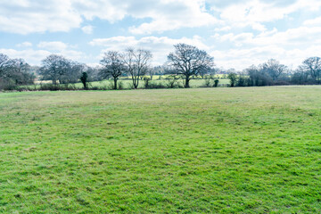 View of fields near Moat Mount Open Space in Mill Hill